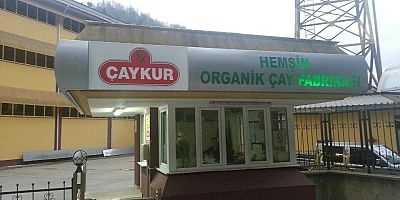 ÇAYKUR KURALARI 22 MAYISTA ÇEKİLİYOR